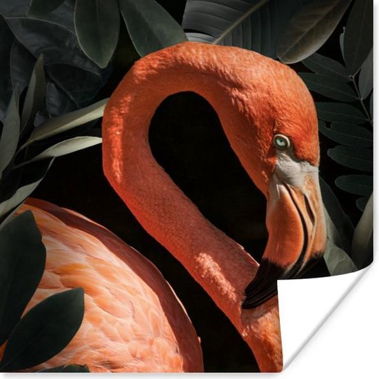 Poster Flamingo - Bladeren - Portret - Botanisch