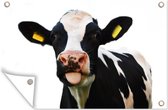Décoration de jardin Vache - Zwart - Wit - 60x40 cm - Affiche de jardin