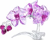 Swarovski Crystal Flowers Orchidee 5520373