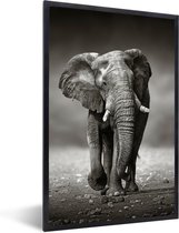 Fotolijst incl. Poster - Olifant - Zwart - Wit - Namibië - 60x90 cm - Posterlijst