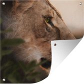 Poster Jardin Lion - Animaux sauvages - Jungle - 200x200 cm - Toile jardin - Poster extérieur