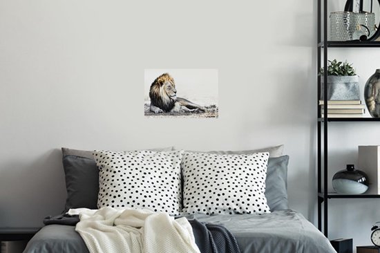 Stickers muraux - Illustration - Lions - Couleur - 30x20 cm - Feuille adhésive