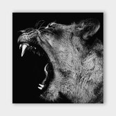 Poster Lioness Roar - Dibond - Meerdere Afmetingen & Prijzen | Wanddecoratie - Interieur - Art - Wonen - Schilderij - Kunst