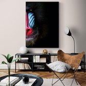 Poster Mandrill - Papier - Meerdere Afmetingen & Prijzen | Wanddecoratie - Interieur - Art - Wonen - Schilderij - Kunst