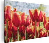 Artaza Canvas Schilderij Oranje Rode Tulpen  - 60x40 - Foto Op Canvas - Canvas Print