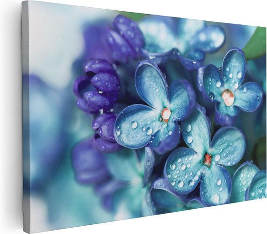 Artaza - Peinture sur Toile - Fleurs Lilas Bleues - Lilas - 30x20 - Klein - Photo Sur Toile - Impression sur Toile