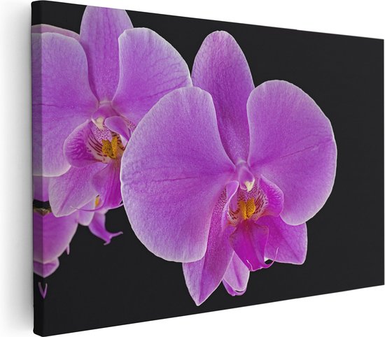 Artaza Canvas Schilderij Licht Paarse Orchidee - Bloem - 120x80 - Groot - Foto Op Canvas - Wanddecoratie Woonkamer