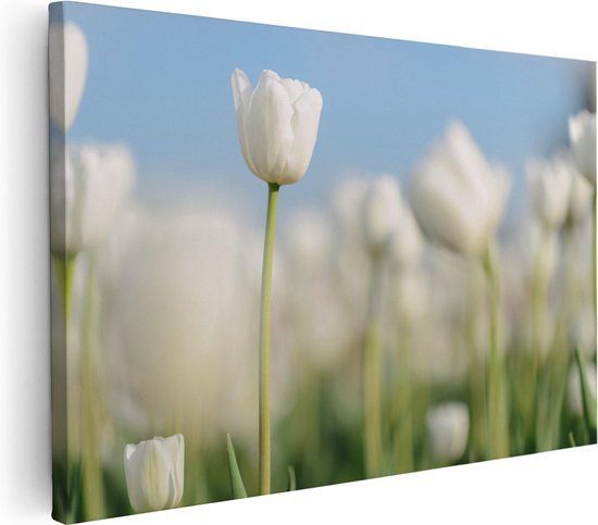 Artaza Canvas Schilderij Witte Tulpen - Bloemen - 120x80 - Groot - Foto Op Canvas - Wanddecoratie Woonkamer