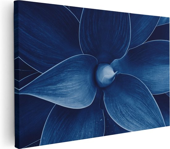 Artaza Canvas Schilderij Blauwe Agave Plant - Bloem - 120x80 - Groot - Foto Op Canvas - Wanddecoratie Woonkamer