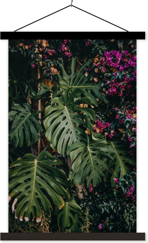 Monstera (plante à trou) fond d' affiche textielposter lattes noires 40x60 cm - Tirage photo sur plaque scolaire (décoration murale salon / chambre)
