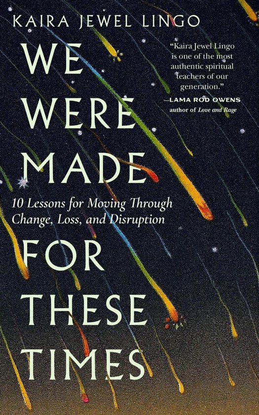 Boekomslag met de titel 'We Were Made for These Times' in witte letters op een donkere achtergrond met vallende sterren.