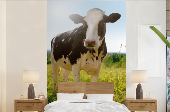 Papier peint - Papiers Papier peint photo Vache - Animaux - Macro - Soleil - Largeur 145 cm x Hauteur 220 cm