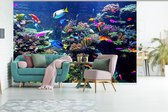 Behang - Fotobehang Koraal - Vis - Aquarium - Breedte 390 cm x hoogte 260 cm