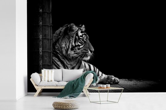 Papier peint - Papier peint photo Tigre - Zwart - Wit - Séance photo - Largeur 360 cm x hauteur 240 cm