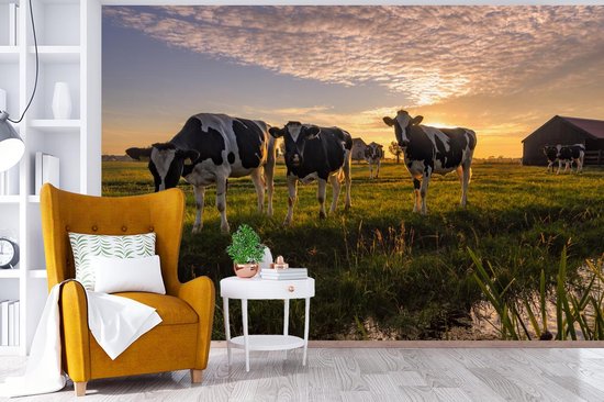 Papier peint - Papier peint photo Vache - Animal - Pâturage - Largeur 390 cm x hauteur 260 cm