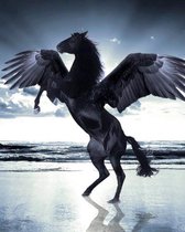diamond painting zwarte pegasus 40 x 30 cm 266 gr