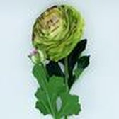 Ranunculus BOEKET VAN NATURAL TOUCH MET GIANT 55 CM