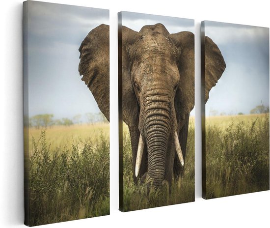 Artaza Canvas Schilderij Drieluik Olifant In Het Wild - Kleur - 120x80 - Foto Op Canvas - Canvas Print