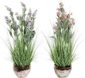 Decoratieve plant DKD Home Decor Polyester Porselein (2 pcs)