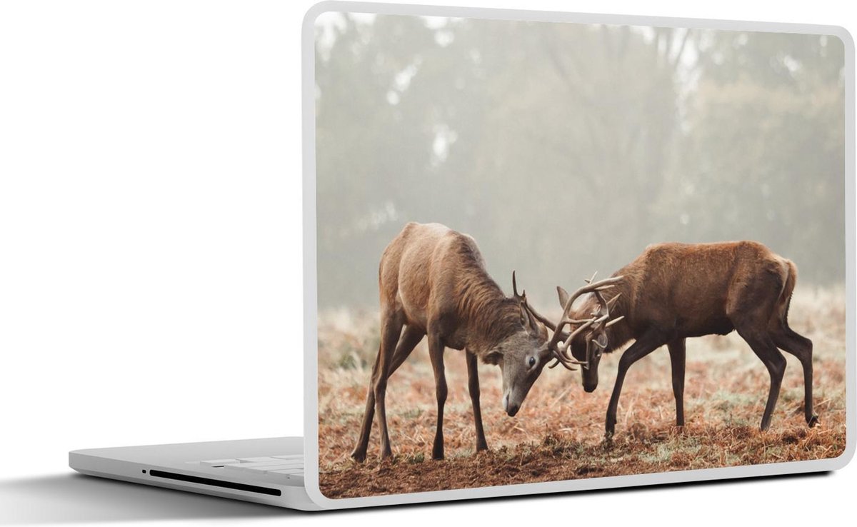 Laptop sticker - 11.6 inch - Hert - Bos - Gras - 30x21cm - Laptopstickers - Laptop skin - Cover