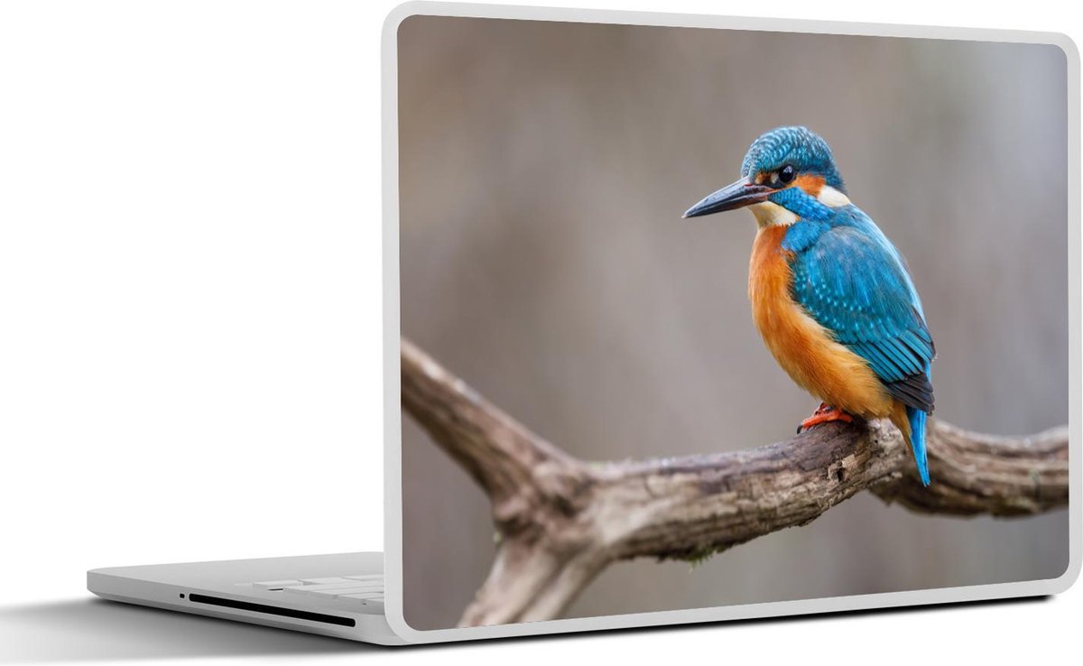 Laptop sticker - 13.3 inch - IJsvogel - Takken - Portret - 31x22,5cm - Laptopstickers - Laptop skin - Cover