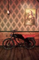Lohner Duo E-bike nieuw in Diablo/Zwart