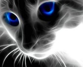 Diamond painting - Mysterieuze kat met blauwe ogen
