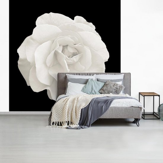 Papier peint - Papier peint photo peint Rose - Zwart - Wit - Largeur 280 cm x hauteur 280 cm