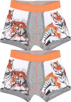 Claesen's Boxershort Tiger 2-pack 164-170