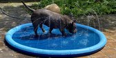 Hondenzwembad / kinderzwembad - Badje met sproeiers - Hondenspeelmat- zwembad