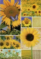 Een zonnige blanco wenskaart met verschillende afbeeldingen van zonnebloemen voor diverse gelegenheden. Inclusief envelop en in folie verpakt! Te gebruiken voor bijvoorbeeld verjaa