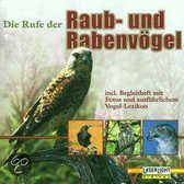 Natur Vogelstimmen - Vogelstimmen Volume 2