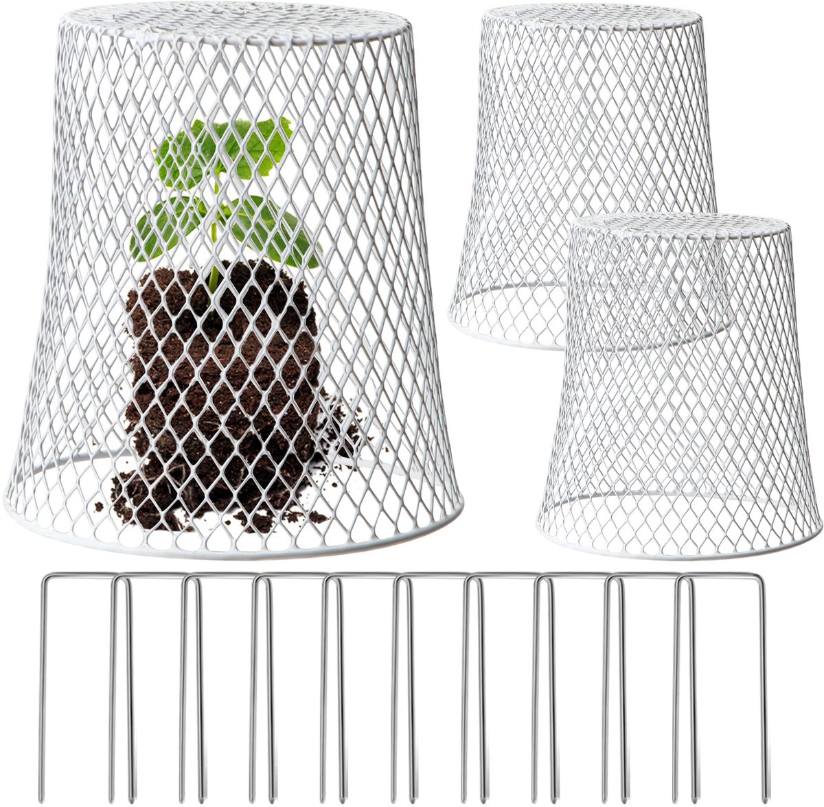 Plantencloches - Draadmetalen Bescherming - 23 cm Diameter