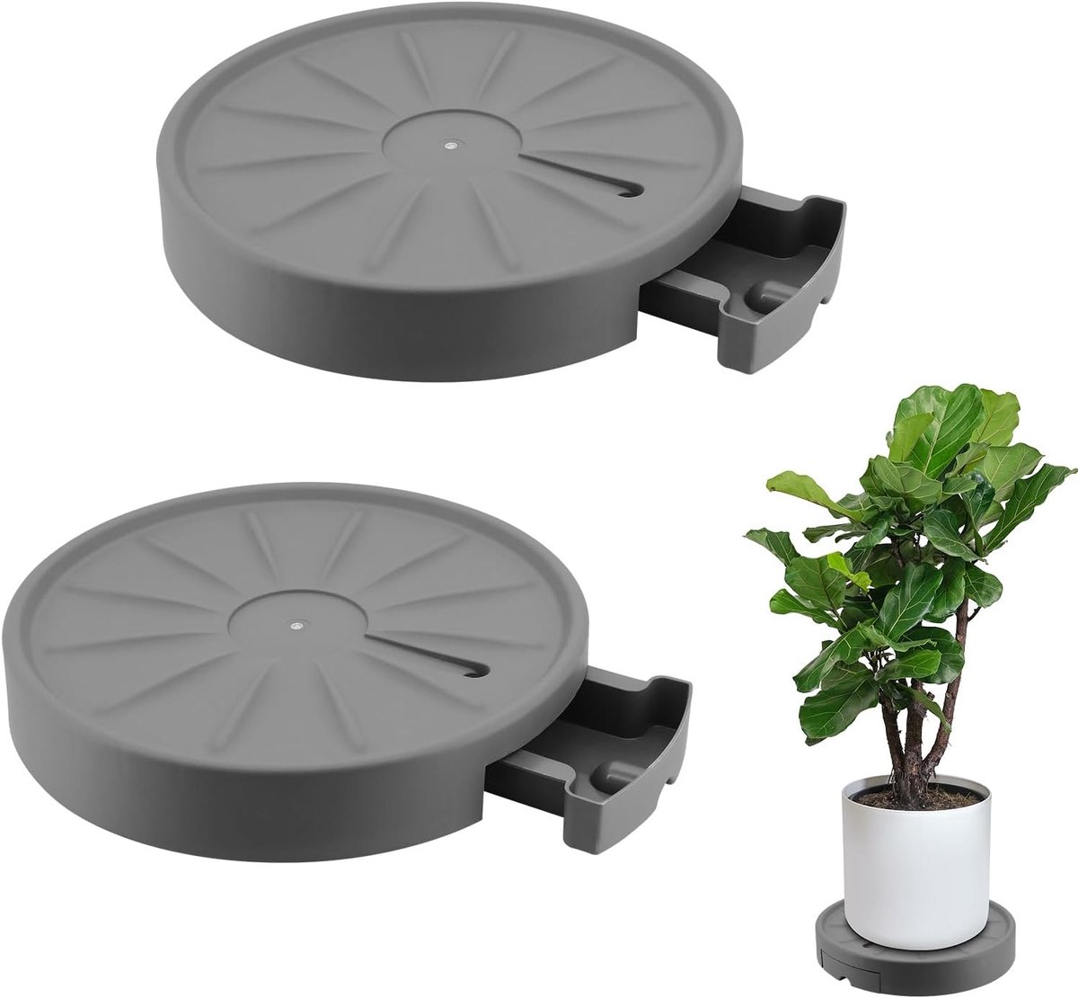 Plantentrolley op wieltjes - plantenonderzetter - Plantentrolley - Voor binnen en buiten - draagvermogen tot 200 kg - Grijs - 28 cm - 2 stuks - van Imperatoris