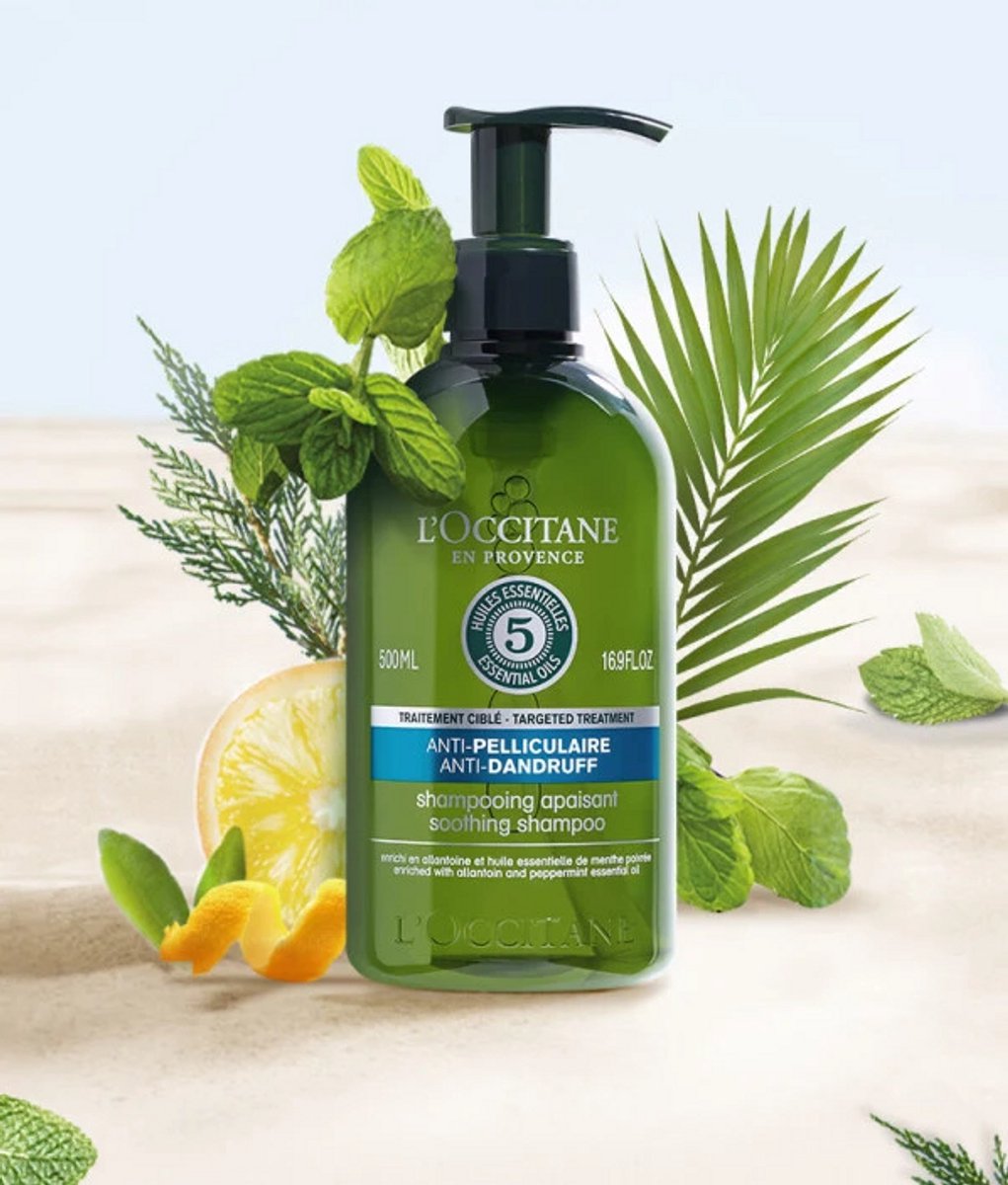 L'OCCITANE en Provence Shampoing antipelliculaire anti-Dandruff Huiles Essentielles 500 ml