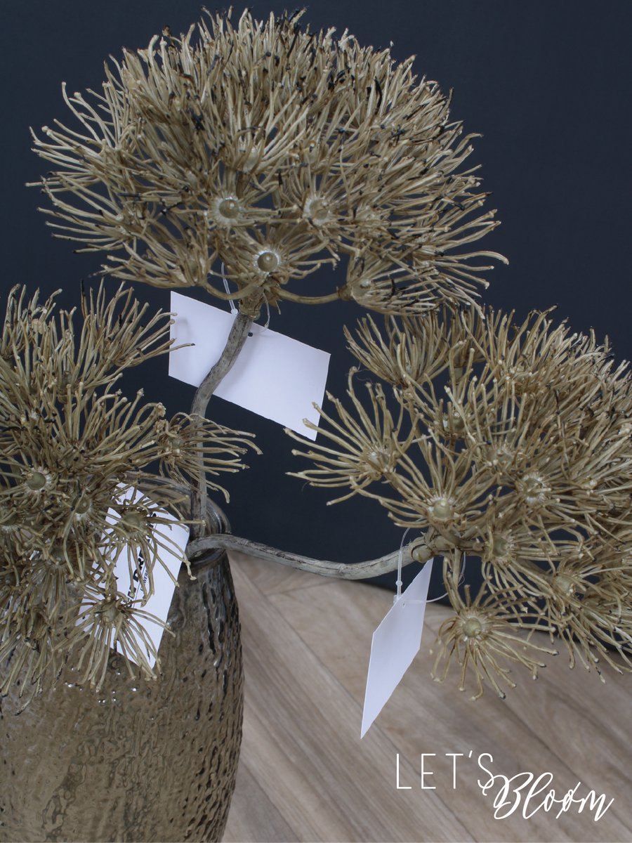 Let's Bloøm | Kunstbloem | Dille | Berenklauw | 3 stuks | Kunsttak | Bruin| Schermbloem| Zijden bloem | Zijden tak |