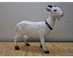 Levensechte Geit met Hoorns – Decoratie beeld – Polyresin – L43 x B14 x H40 cm