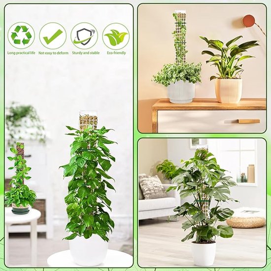 Twee planten met mosstokken in potten. Eén op een bijzettafel, één op de vloer. Iconen tonen recycling en duurzaamheid.
