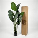 Groene Strelitzia kunstplant naast de bruine IvoQ verpakking.