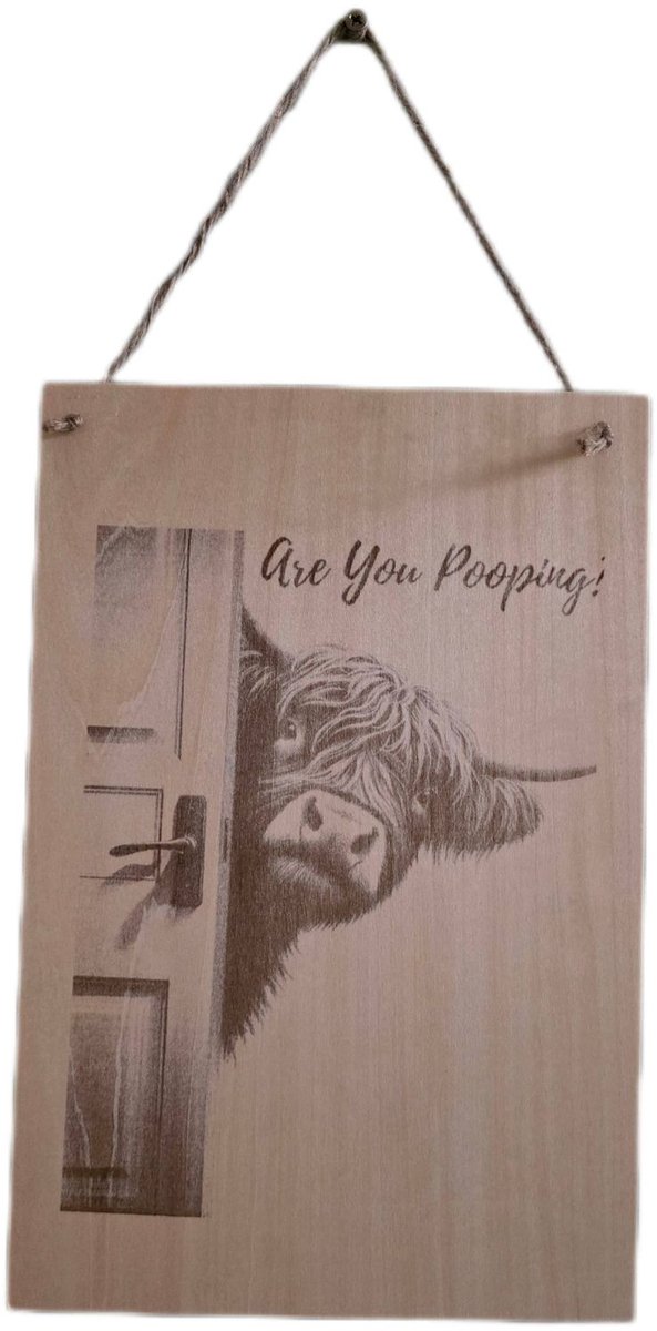 cow/koe toilet bordje gegraveerd, are you pooping? Laserkado