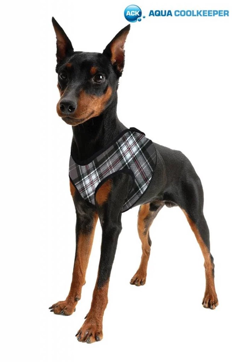 Aqua Coolkeeper harnas Scottish Grey koeltuigje hond- XS - 26-30 cm
