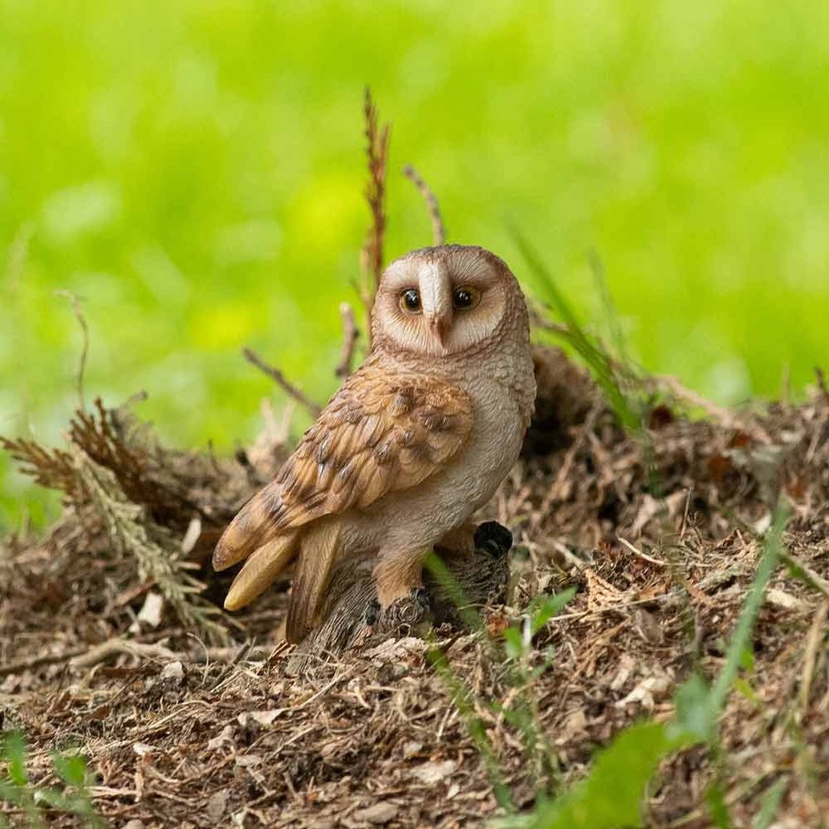 HotAnt Tuinbeeld dieren - Mini kerkuil (Polystone) - Voor buiten - Tuin decoratie - Cadeau