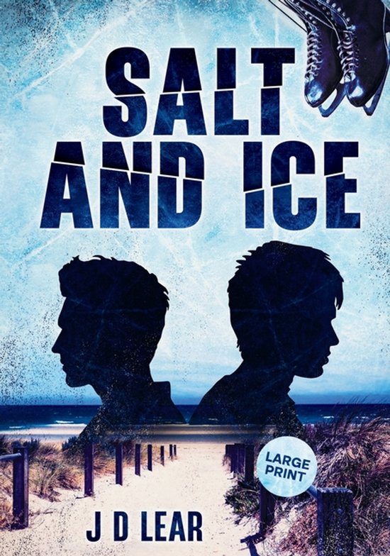 Salt and Ice - cover