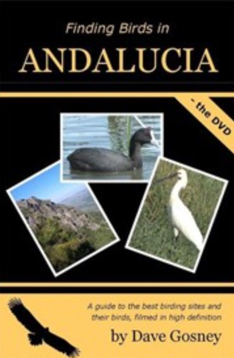 Finding Birds in Andalucia