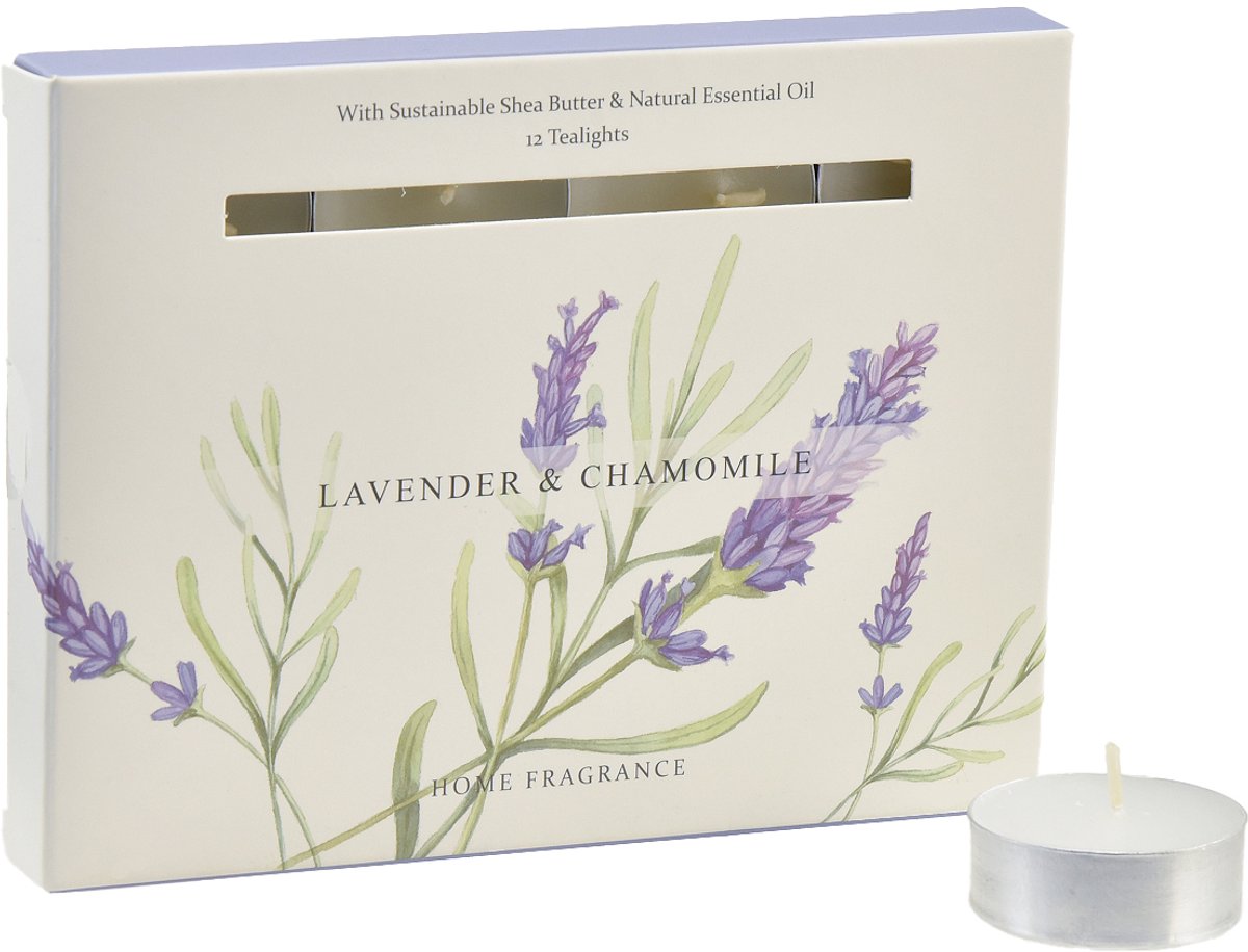 Theelichten Lavendel 12-delig
