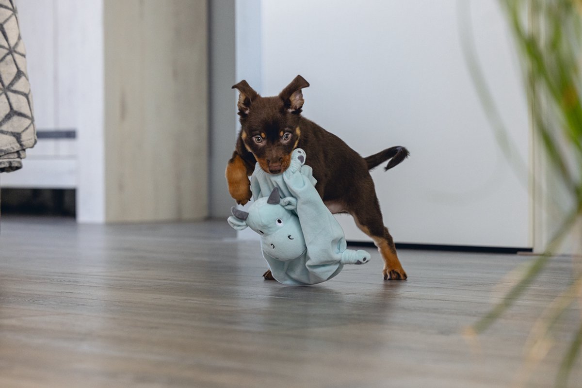 Beeztees Puppy Knuffeldoek Draak thumbnail 3