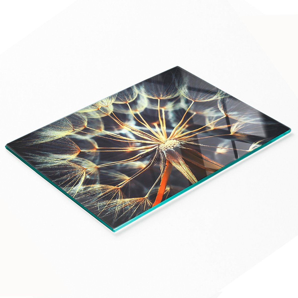 Keukenplank van gehard glas met decoratieve paardenbloemafbeeldingen, 80x52 cm