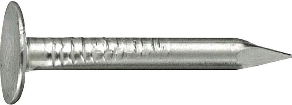 Dakbedekking Spijkers - Bitumen Nagels - Dak Reparatie - Warm Galvaniseerd - 2.5 x 25 mm - Zilver