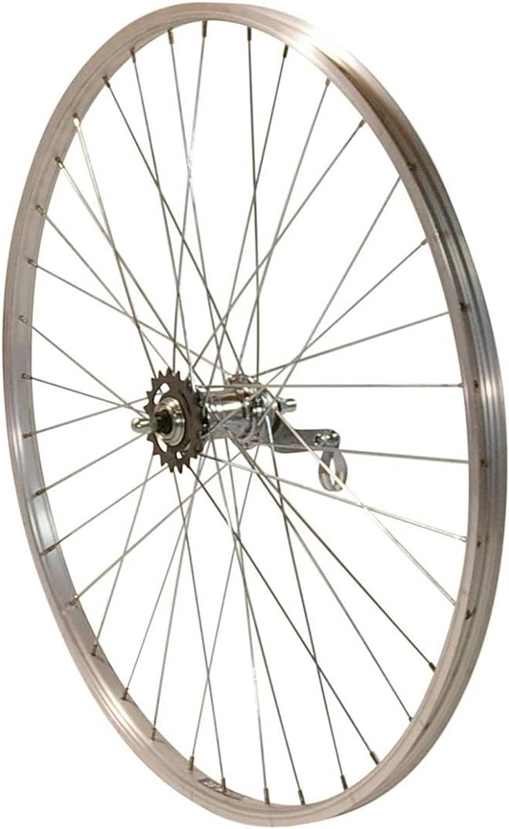 28 Inch Achterwiel Fiets met Terugtraprem - Zilveren Boxvelg en 1 Versnelling
