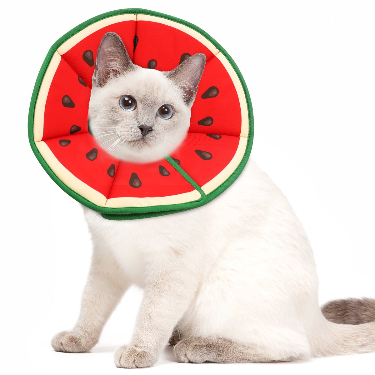 Kattenhalsband - Verstelbaar - Voorkomt likken en bijten - Beschermt wonden - Geschikt voor puppy's en kittens - Maat M - Rood